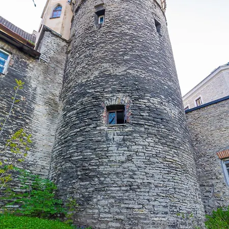 In A Real Medieval Tower, Lower Floors Apartment Reval